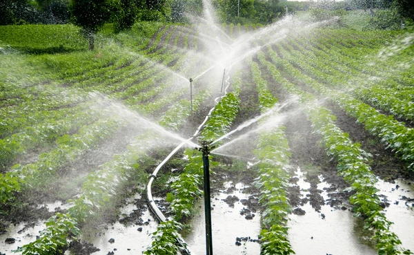 Agriculture & Irrigation